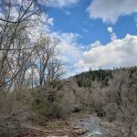 Cottonwood Campground