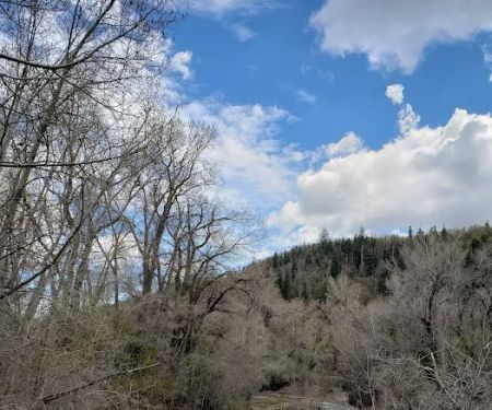 Cottonwood Campground