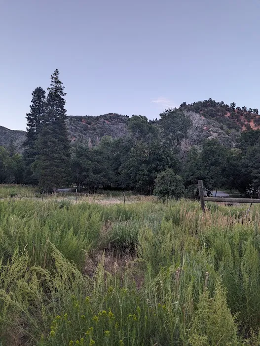 Cottonwood Campground Picture 2