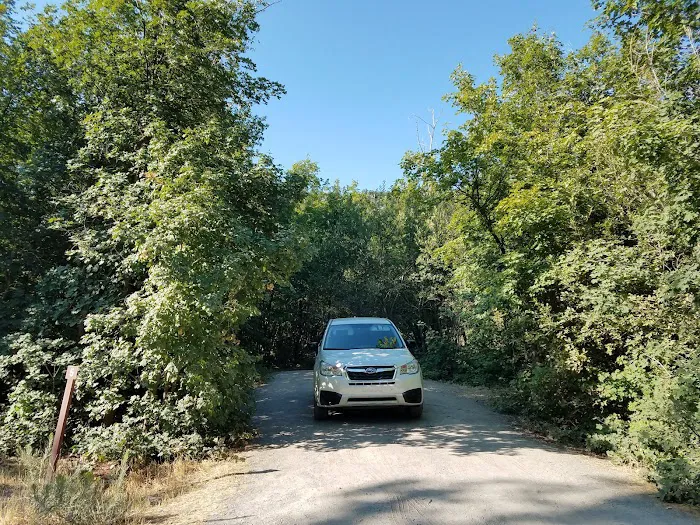 Cottonwood Campground Picture 8