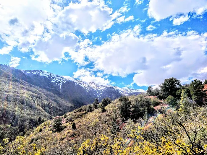 Cottonwood Campground Picture 9