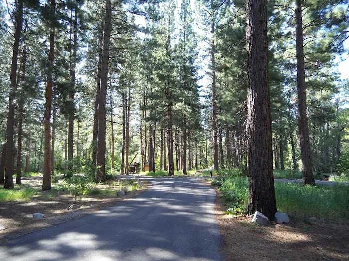 Ponderosa Campground Picture 9
