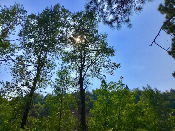 Ponderosa Campground Picture 5