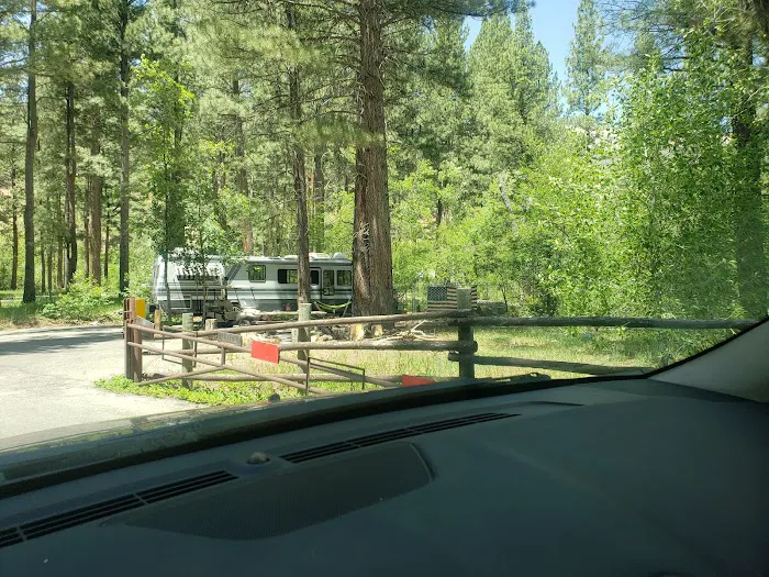 Ponderosa Campground Picture 4
