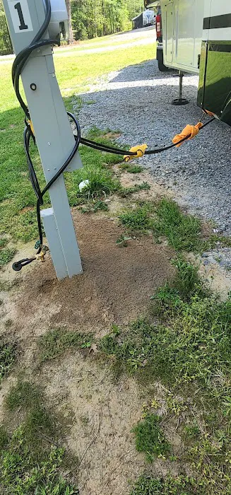 Starlit Hollow RV Park Picture 2