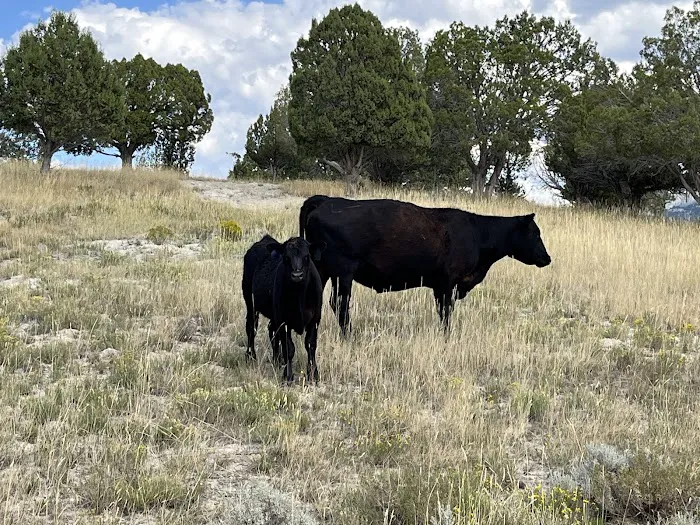 Sheep Creek Camping Area Picture 1