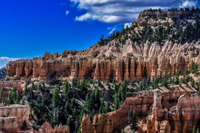 Sheep Creek Camping Area Picture 6