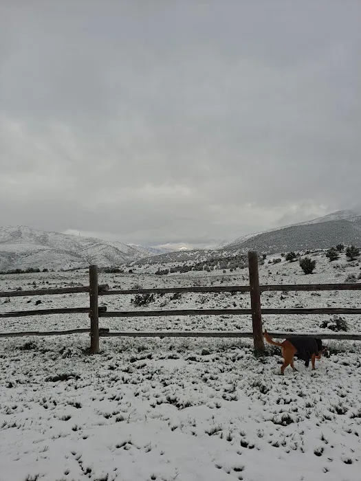 Sheep Creek Camping Area Picture 8