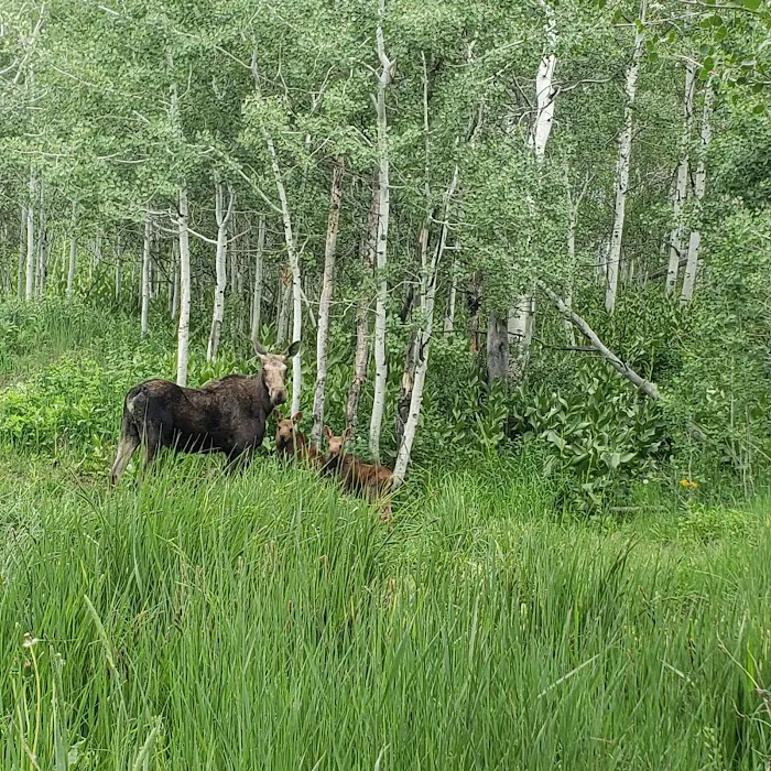 Big Horn Ranch Picture 8