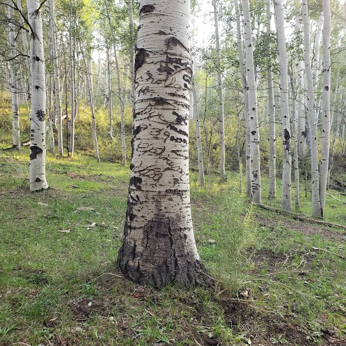 Big Horn Ranch Picture 9