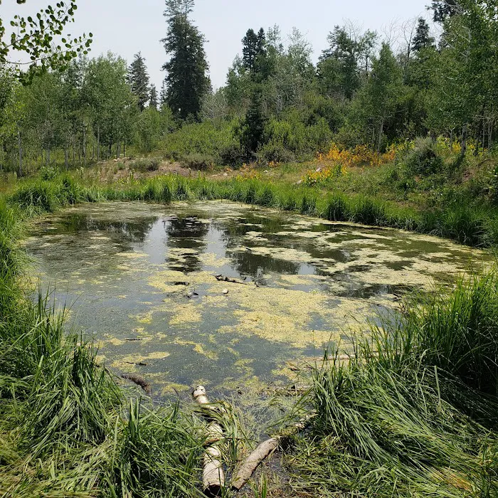 Big Horn Ranch Picture 6