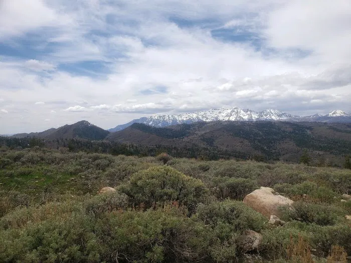 Big Horn Ranch Picture 1