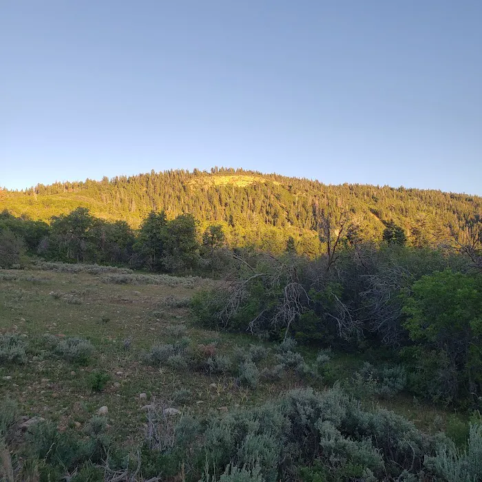 Big Horn Ranch Picture 7