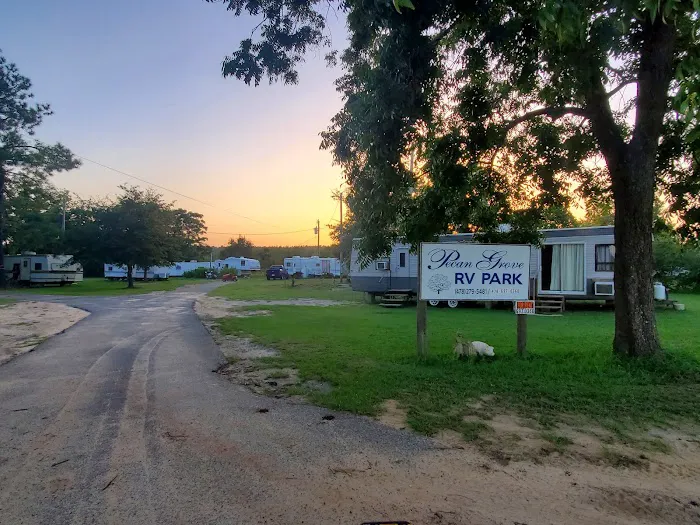 Pecan Grove RV Park Picture 5