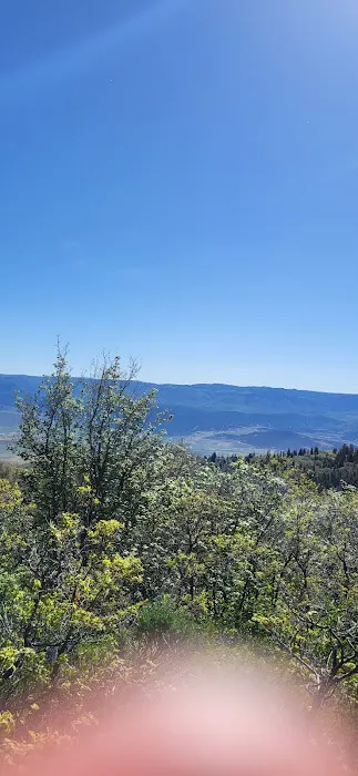 Camp Haven Picture 8