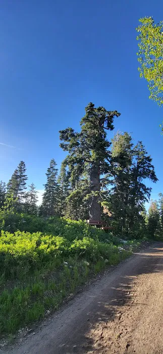 Camp Haven Picture 10