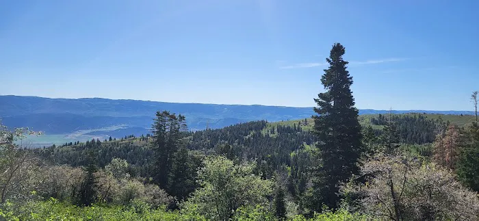 Camp Haven Picture 9