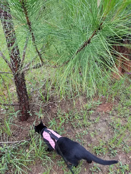 Honeysuckle Farm RV Park Picture 1