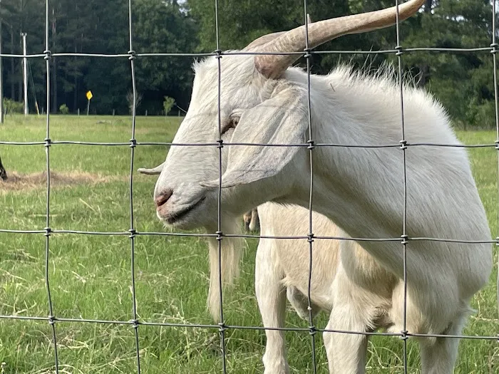 Two Horse Wagon RV Park Picture 1