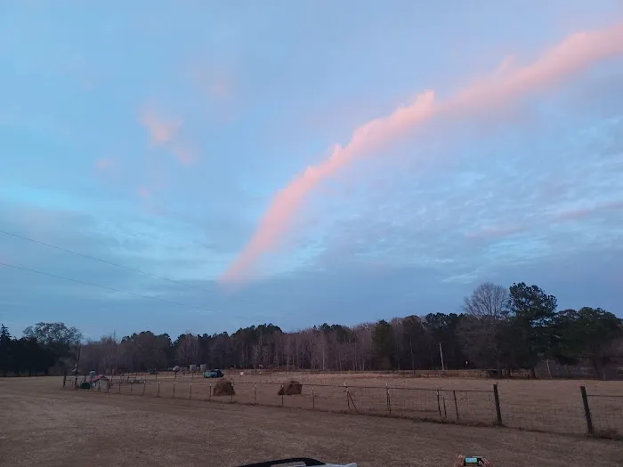 Two Horse Wagon RV Park Picture 3