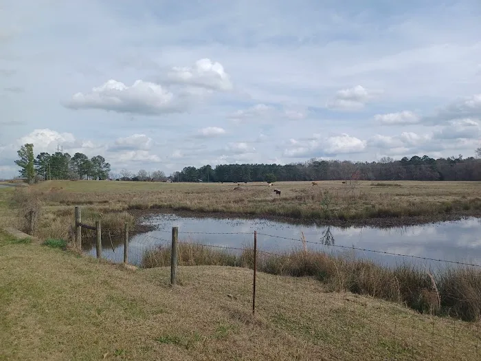 Two Horse Wagon RV Park Picture 7