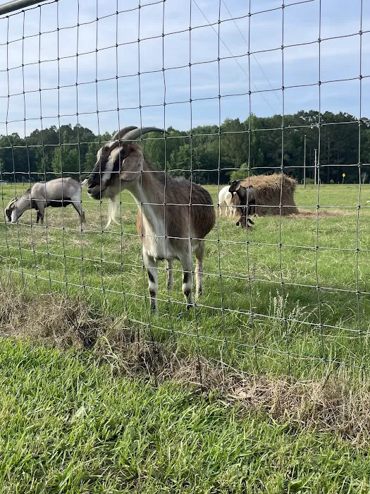 Two Horse Wagon RV Park Picture 2