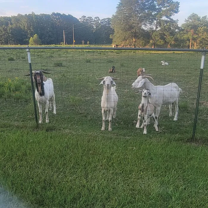 Two Horse Wagon RV Park Picture 9