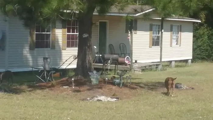 Trailer Park Picture 5