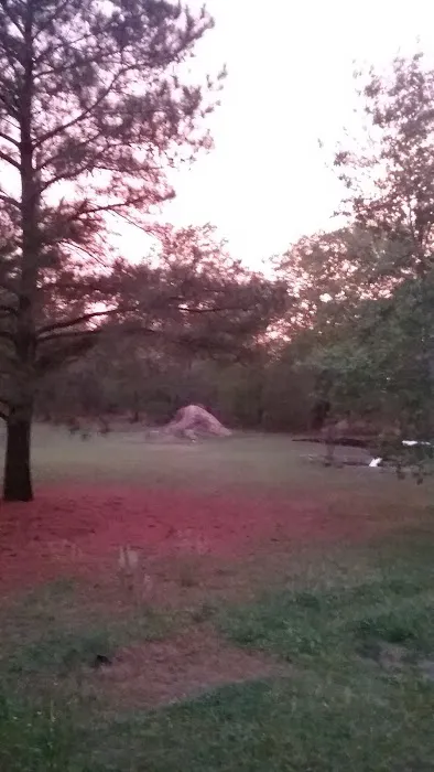 Trailer Park Picture 1