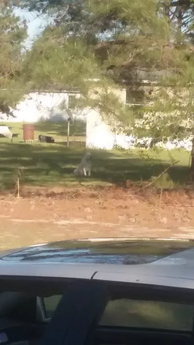 Trailer Park Picture 4