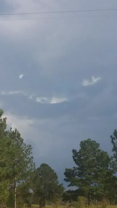 Trailer Park Picture 3