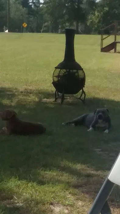 Trailer Park Picture 2