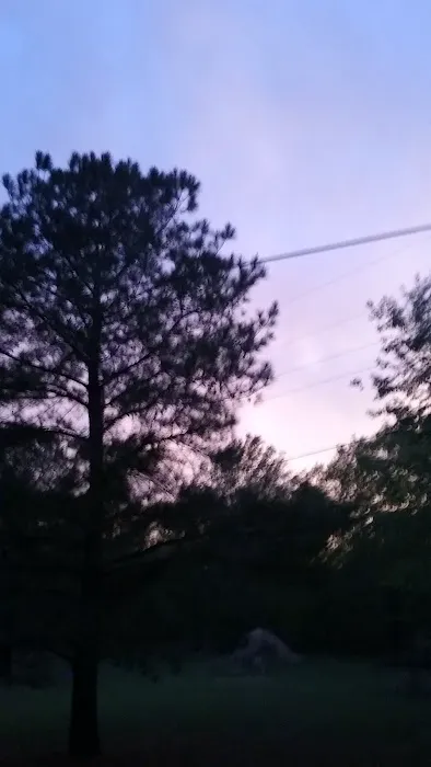 Trailer Park Picture 6