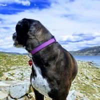 Soldier Creek Campground ico