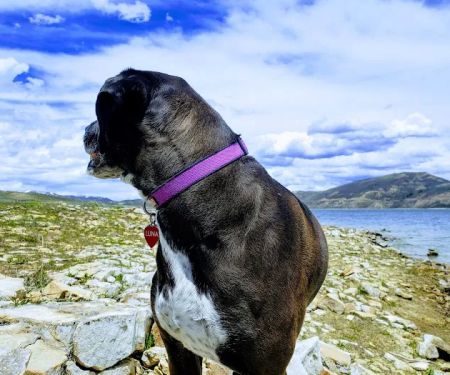 Soldier Creek Campground