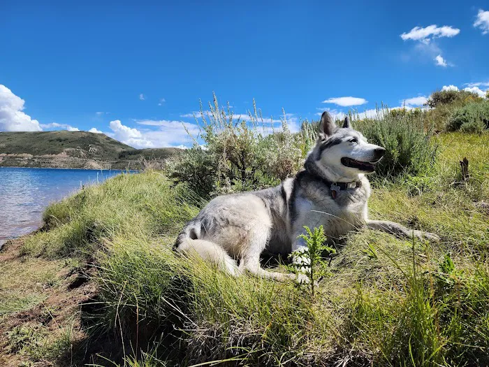 Soldier Creek Campground Picture 7
