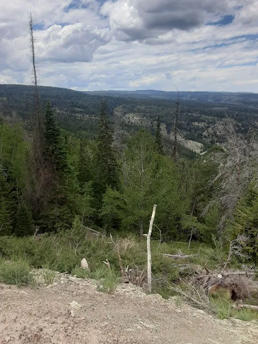 Soldier Creek Campground Loop C Picture 3