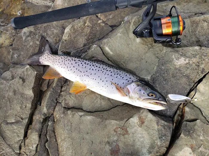 Soldier Creek Dam Day Use Area Picture 9