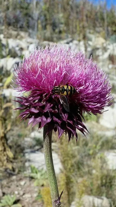Soldier Creek Dam Day Use Area Picture 4