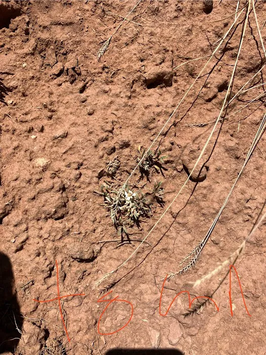 Soldier Creek Dam Day Use Area Picture 7