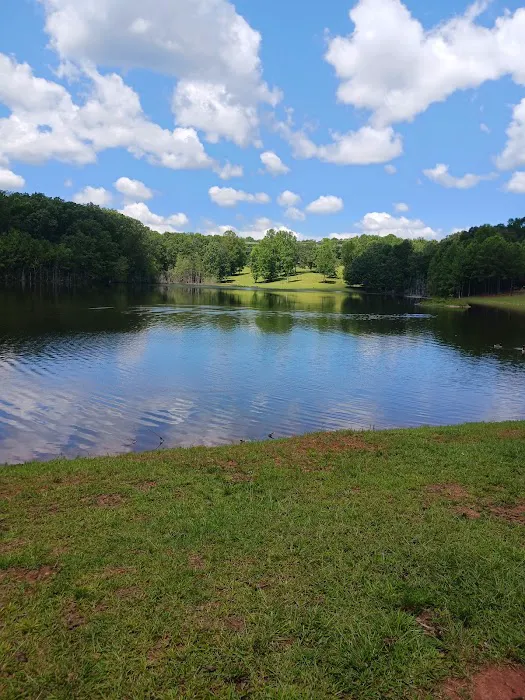 Wimp's RV Park on the Lake Picture 2