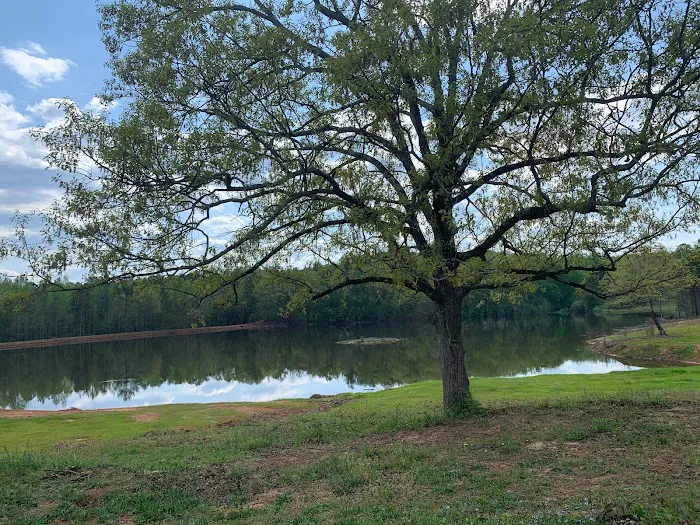 Wimp's RV Park on the Lake Picture 3