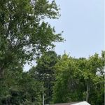 Cook's Mobile Home Park