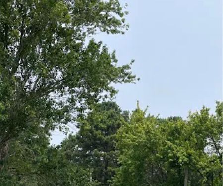 Cook's Mobile Home Park