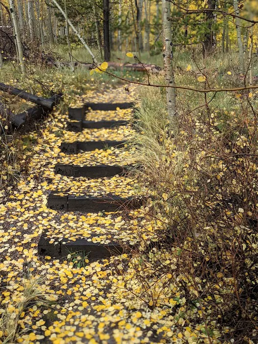 Aspen Grove Campground Loop B Picture 4