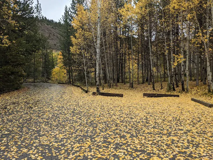 Aspen Grove Campground Loop B Picture 9
