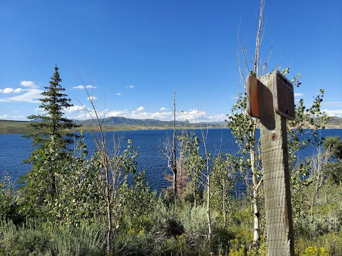 Aspen Grove Campground Loop B Picture 3