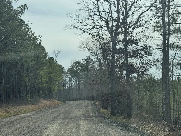 Prospector's Park Picture 6