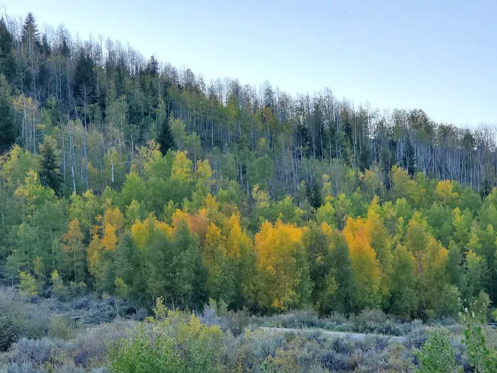 Aspen Grove Campground Picture 4