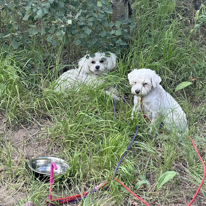 Aspen Grove Campground Picture 10